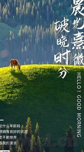 果冻传媒 在线播放-果冻传媒，在线播放的精彩与便捷