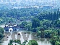 蜜桃色av一区二区三区麻豆-迷幻果实之诱惑，蜜桃色与AV一区的幻彩世界