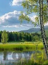 糖心app苹果版下载安装-寻找用户体验新高峰，探索糖心App苹果版的独特魅力