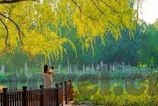 糖心app新官网入口-成长与蜕变，重塑糖心APP的全新篇章